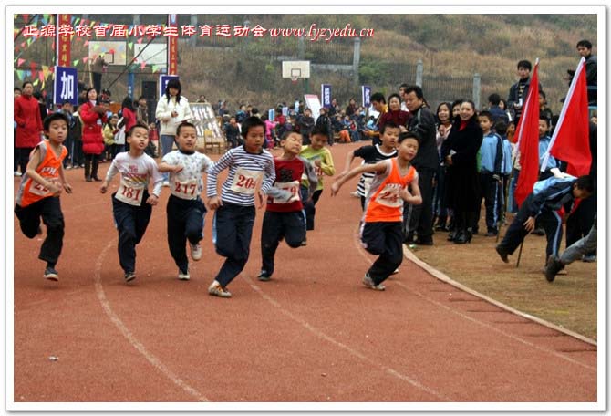 正源学校首届小学生体育运动会组图