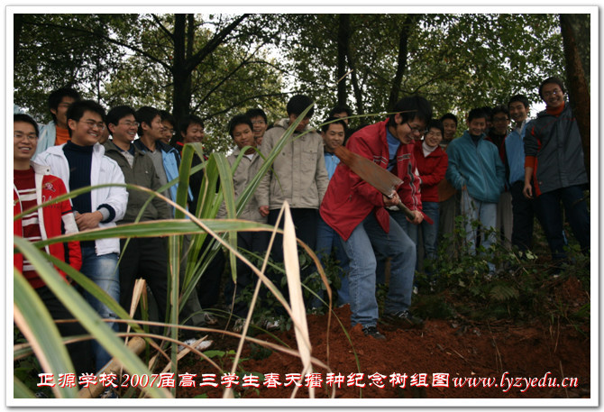 移植快乐 种下纪念组图