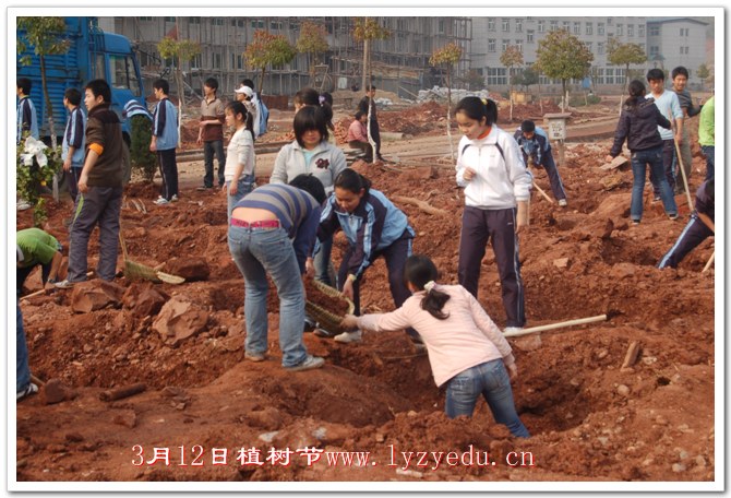 正源学校3月12日植树节组图