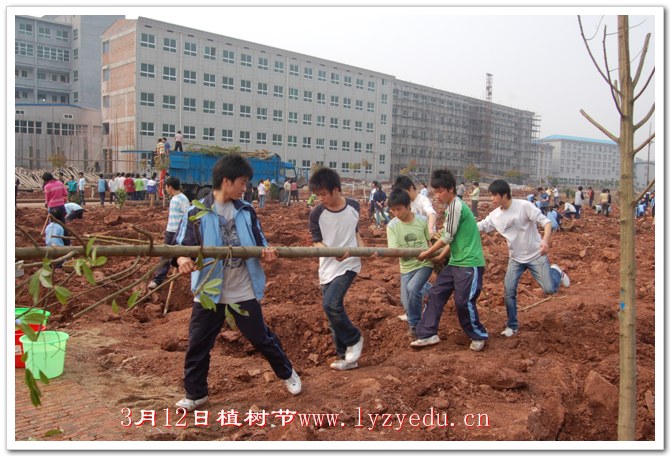 正源学校3月12日植树节组图