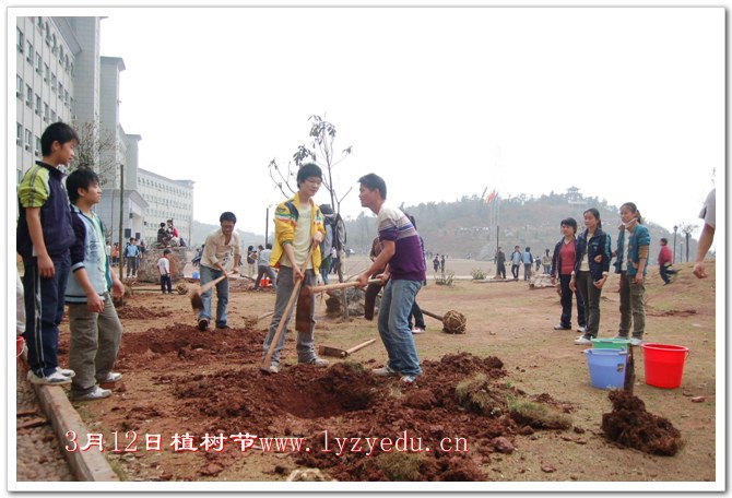 正源学校3月12日植树节组图