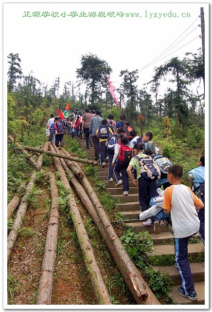 小学生五、六年级游鹿岐峰